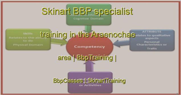 Skinart BBP specialist training in the Araenochae area | BbpTraining | BbpClasses | SkinartTraining-Republic of Korea